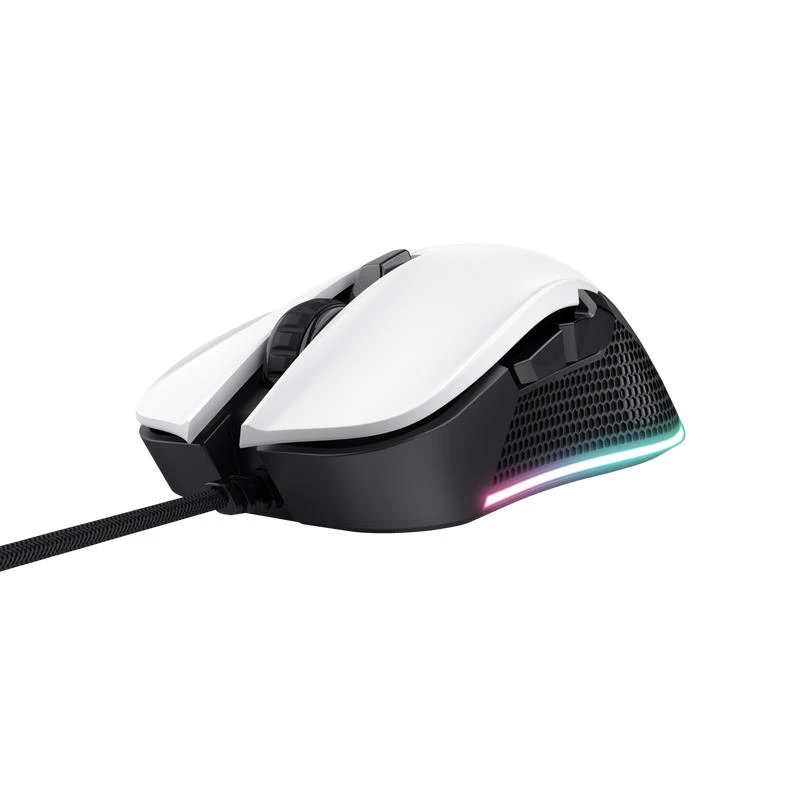 EURA IP GATEWAY ACA-20C9 für Geräte auf Basis der TT Lock App