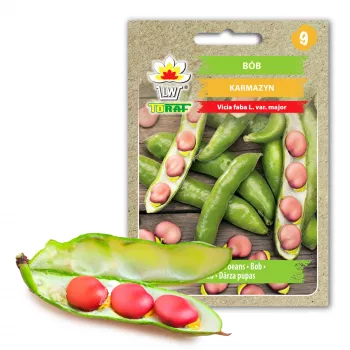 Crimson Bean Toraf Gemüsesamen, 30g Packung