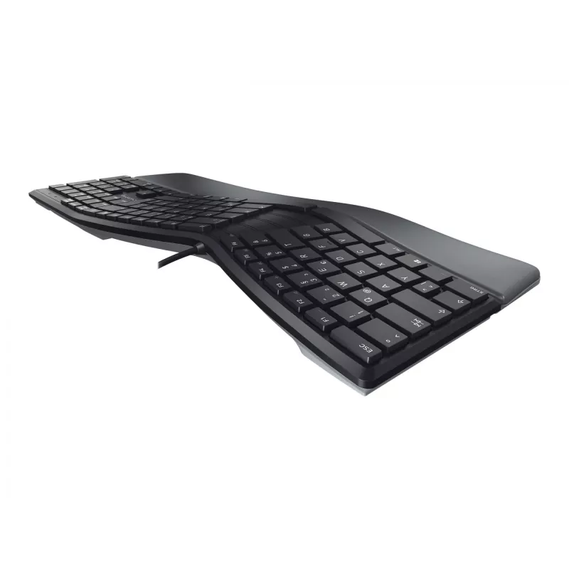 CHERRY KC 4500 ERGO Tastatur Universal USB QWERTY Nordisch Schwarz