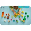 LEGO DUPLO 10452 Campingausflug