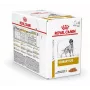 ROYAL CANIN Urinary S/O - Nassfutter für Hunde - 12 x 100g