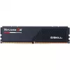 G.Skill F5-6000J3036F24GX2-RS5K Speichermodul 48 GB 2 x 24 GB DDR5 5600 MT/s