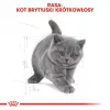 Trockenfutter für Katzen Royal Canin British Shorthair Kitten 2 kg – Huhn, 38% Protein, 20% Fett, Wachstumsformel