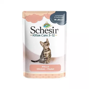 SCHESIR Hähnchenfilets in Gelee - Nassfutter für Kätzchen - 85g