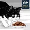 FELIX Tasty Shreds mit Rind und Huhn - 4x 80g
