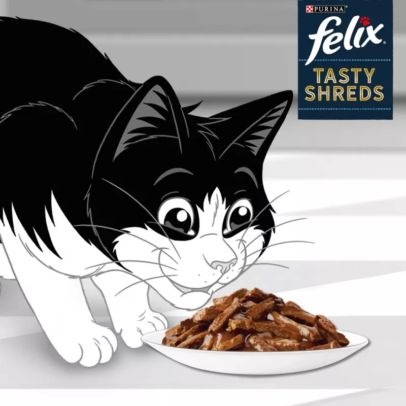 FELIX Tasty Shreds mit Rind und Huhn - 4x 80g
