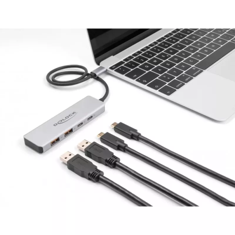 DeLOCK USB Hub USB Type-C 10 Gbit/s 2x Typ-A 2x Typ-C 35 cm Kabel