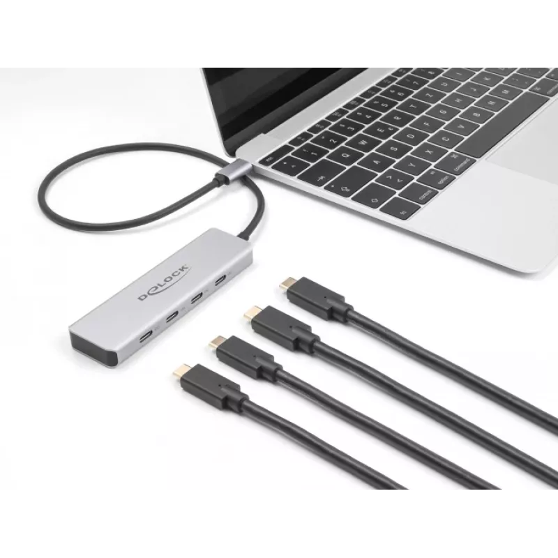 DeLOCK USB Type-C Hub 10 Gbps 4 Ports Aluminium Grau