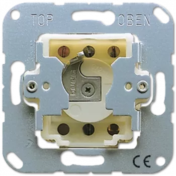 JUNG 134.28 - Schlüsselschalter - 2P - Metallisch - 250 V - 50 - 60 Hz - 10 A