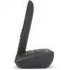 Analog/DECT-Telefon Gigaset C575A