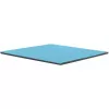 Thermal Grizzly Minus Pad Pro - 100 x 100 x 1,5 mm