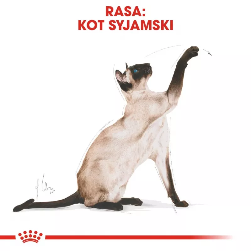 Trockenfutter für Katzen Royal Canin Siamese 2 kg — Ausgewachsene Katzen, Geflügel, Protein 38%, Fett 16%