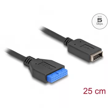 DeLOCK USB-Kabel Pfostenstecker-Buchse auf internen USB Typ-E Key A 25 cm