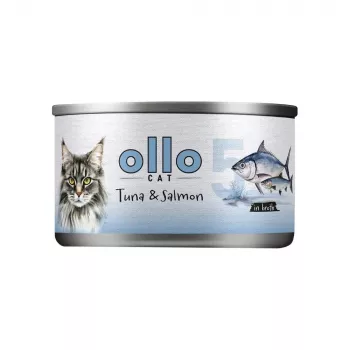 Ollo Thunfisch mit Lachs in Brühe Nr 5 70g