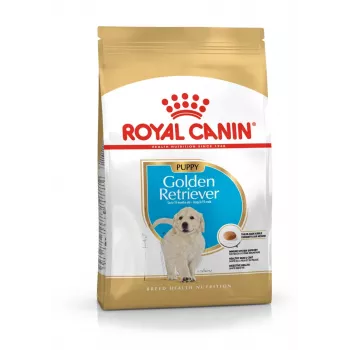 Trockenfutter für Hunde Royal Canin Golden Retriever Junior 12 kg — Geflügel, 29% Protein, 16% Fett