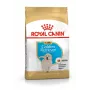 Trockenfutter für Hunde Royal Canin Golden Retriever Junior 12 kg — Geflügel, 29% Protein, 16% Fett