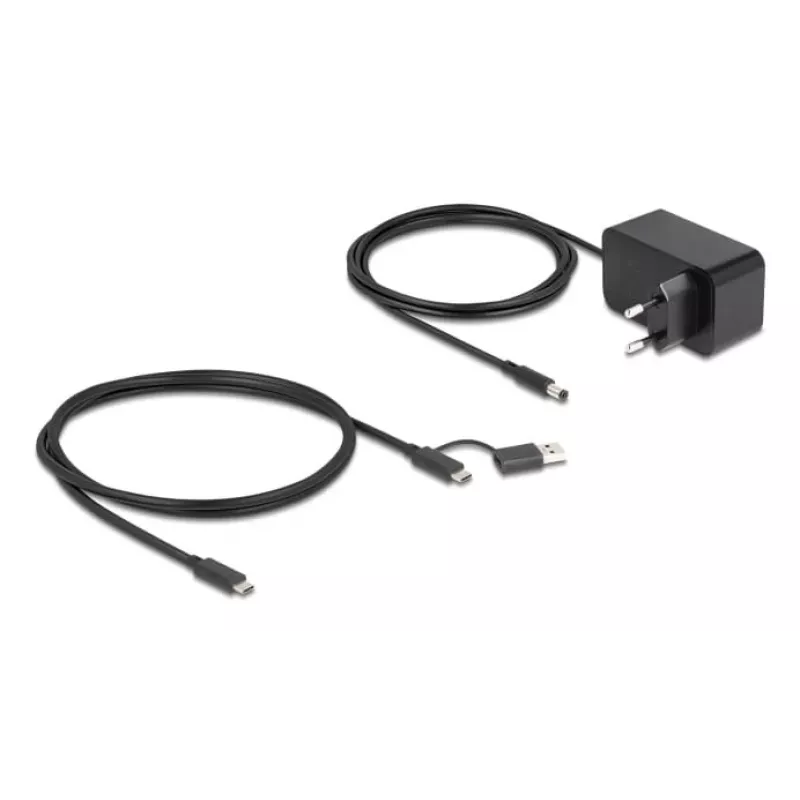 DeLOCK 64326 Interface Hub USB 3.2 Gen 2 (3.1 Gen 2) Type-C 10000 Mbit/s Schwarz