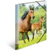 HERMA 7140 Polypropylen (PP) Mappe Mehrfarbig A4