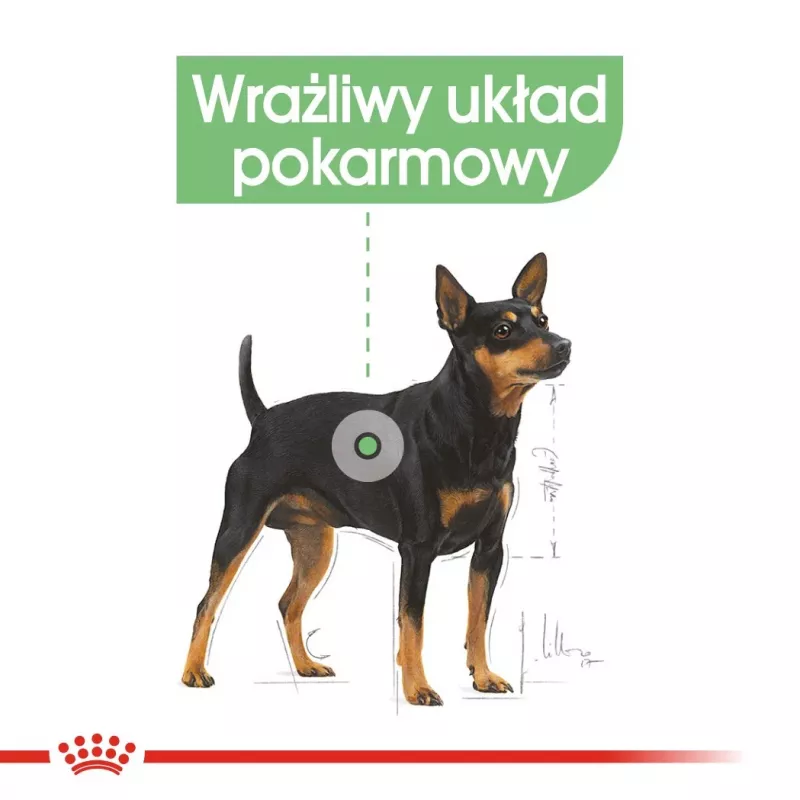 Nassfutter für Hunde Royal Canin Digestive Care Fleisch & Gemüse Portionsbeutel 12 x 85 g – ausgewachsene Hunde, Unterstützung der Verdauung