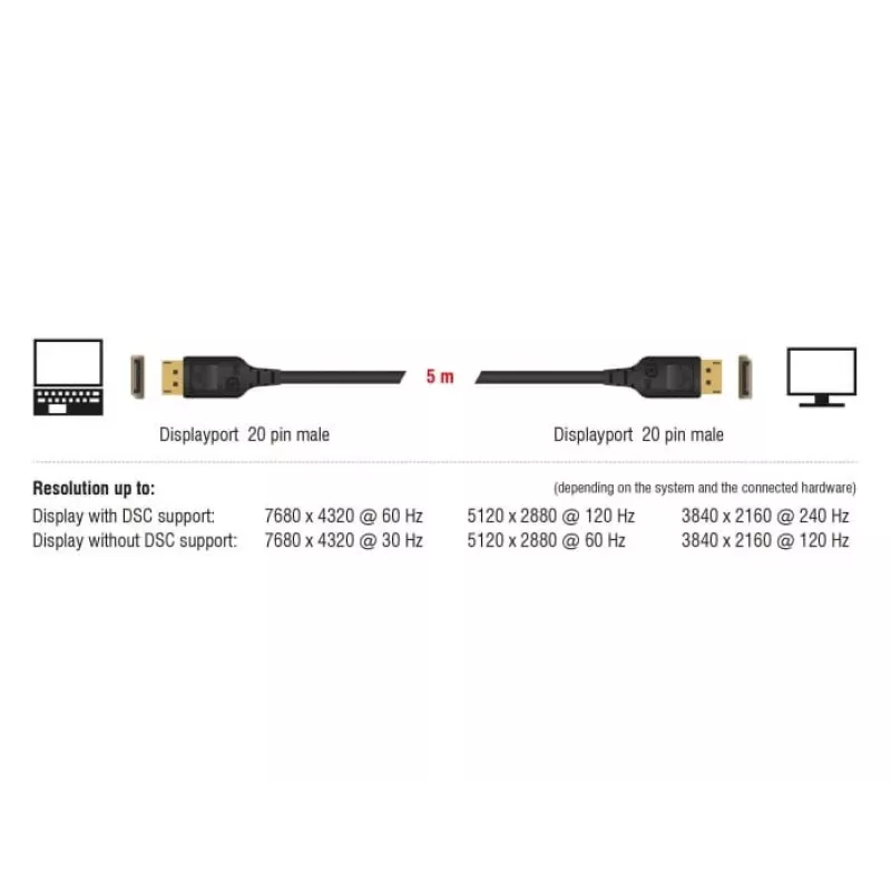 DisplayPort-Kabel DeLOCK 85661 3 m Schwarz