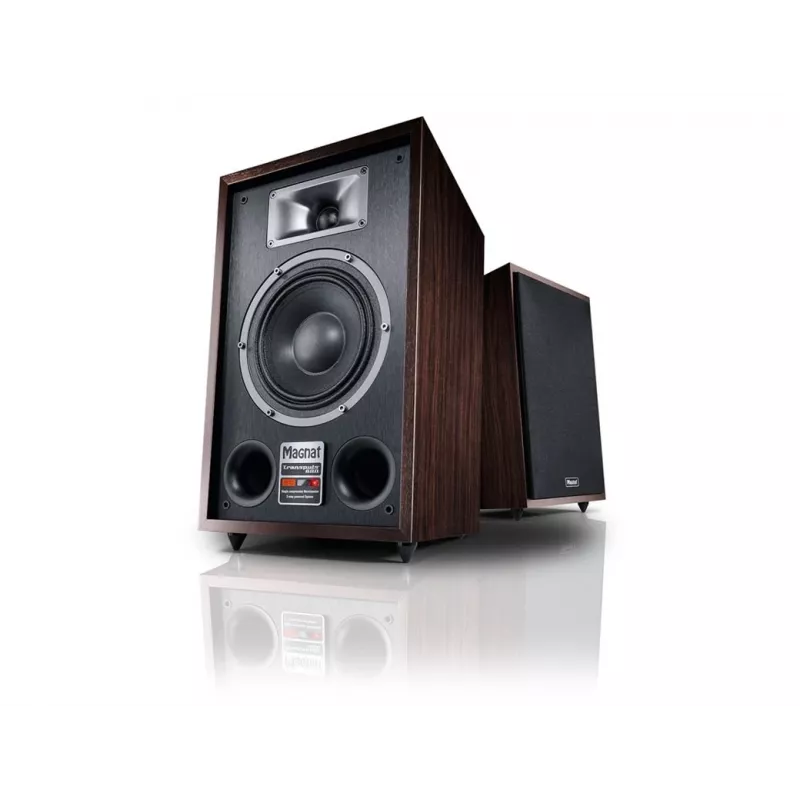 Standlautsprecher Magnat TRANSPULS 800A 2-Wege kabelgebunden & kabellos 2×60 W, Bluetooth 5.0, HDMI, Schwarz/Braun