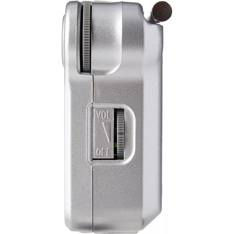Panasonic RF-P150DEG Tragbares Analogradio Silber