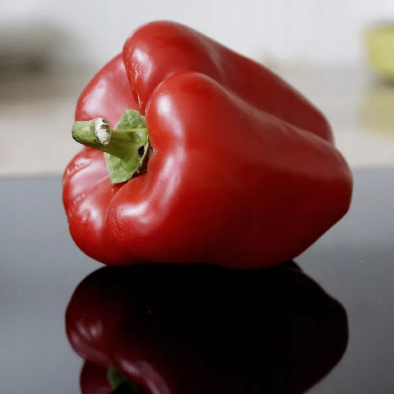 Samenpackung Seklos LT Paprika Jolanta 0,5 g – Süßpaprikasamen für den Anbau