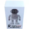 Bluetooth-Lautsprecher ALLNET Robert mit App-Steuerung – Modell Robert