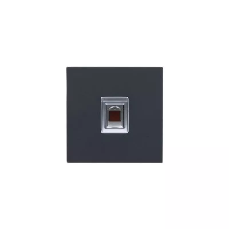 Dahua Technology VTO4202FB-MF Zugangskontroller