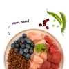 BOSCH Sanabelle Adult Ostrich & Blueberries - Trockenfutter für Katzen - 2kg