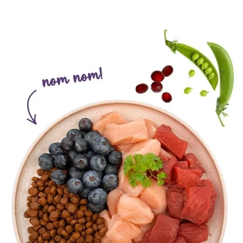 BOSCH Sanabelle Adult Ostrich & Blueberries - Trockenfutter für Katzen - 2kg