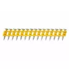 DeWALT DCN8901020 Nagler- & Tackerzubehör Klemmen-, Bolzen- & Nagelsortiment DCN890N-XJ; DCN890P2-QW