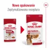 ROYAL CANIN SHN Medium Adult in Sauce - Nassfutter für ausgewachsene Hunde - 10x140g