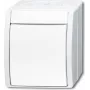 BUSCH-JAEGER Kreuzschalter 2601/7W-54 ocean Alpinweiß IP44 Wippschalter 2601/7W-54 (2601/7W-54)