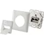 Renkforce Netzwerkdose Unterputzeinsatz CAT 6 2 Port Perlweiß (RF-4393024)