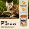 INABA Churu Varieties Chicken - Katzenleckerli - 50 x 14g