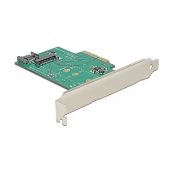 Schnittstellenkarte DeLOCK 89381 intern M.2 SATA