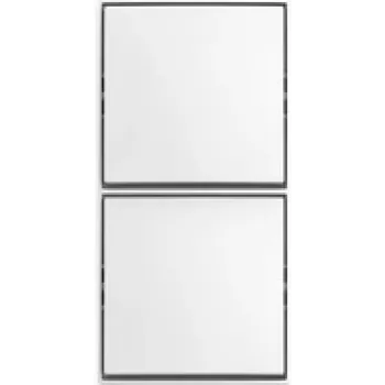 BUSCH JAEGER Kombinationsschalter/Schalter AP 2601/6/2601/6 APJ524 (2TKA00005525)