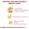 ROYAL CANIN Maine Coon Kitten- Trockenfutter für Katzen - 4 kg