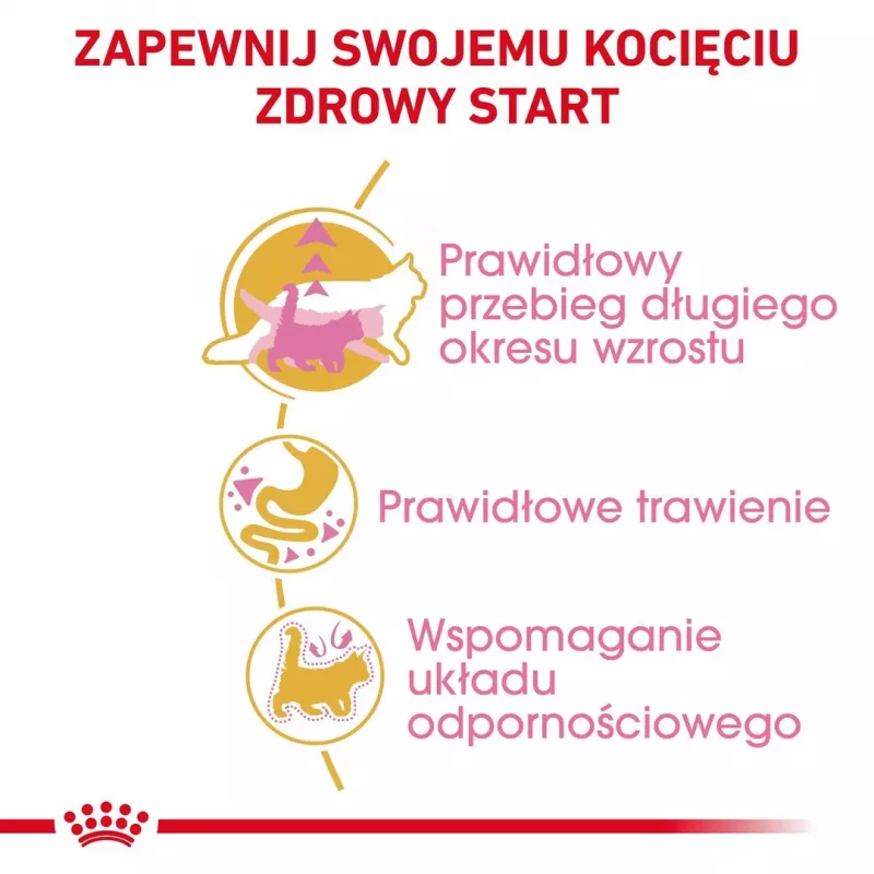 ROYAL CANIN Maine Coon Kitten- Trockenfutter für Katzen - 4 kg
