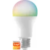 Smarte Glühlampe Denver SHL-350