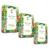 Toraf Seed Set - Set 4X3 2024 Toraf 36X1PCS