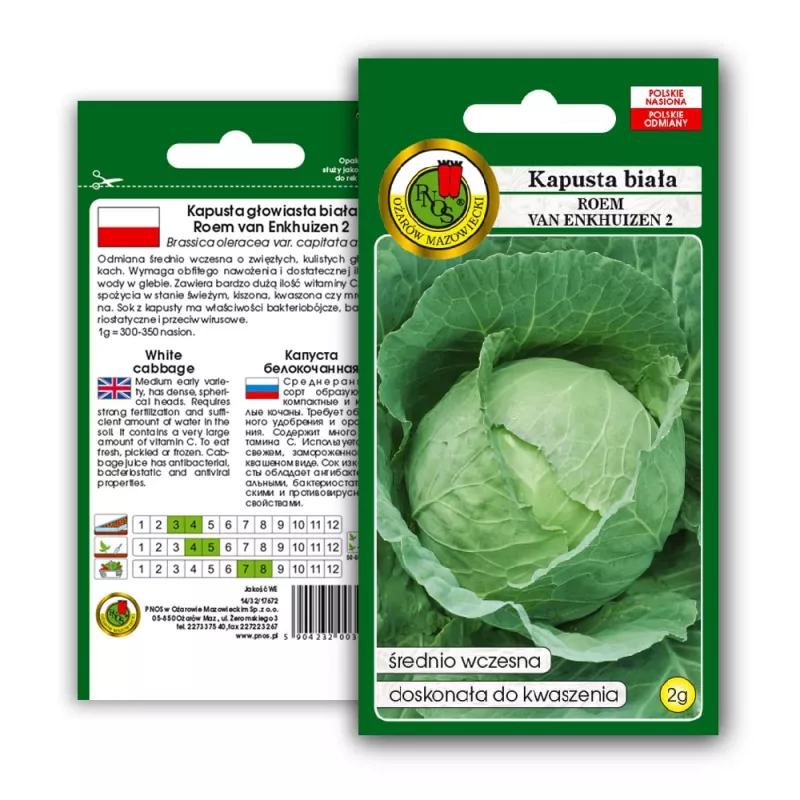 Samenpackung Apte — Weißkohl 'Roem Van Enkhuizen' (2 g) Gemüsesamen