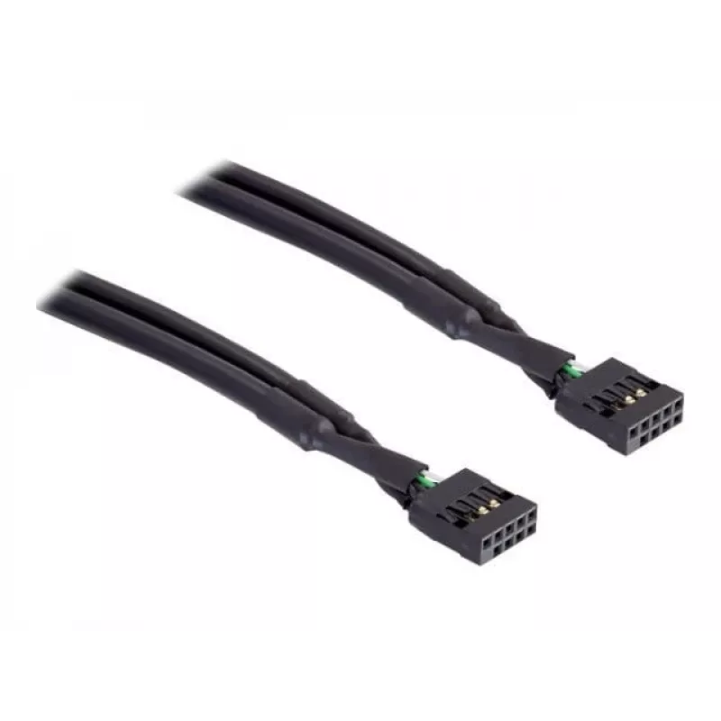 Internes USB-Kabel DeLOCK 82437 0,5 m 10-Pin Female
