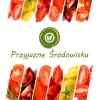 Toraf Tomatensamen-Set Eden – 8 Packungen