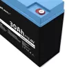 Wiederaufladbare LiFePO4-Batterie QOLTEC 12,8V 30Ah 384Wh mit BMS