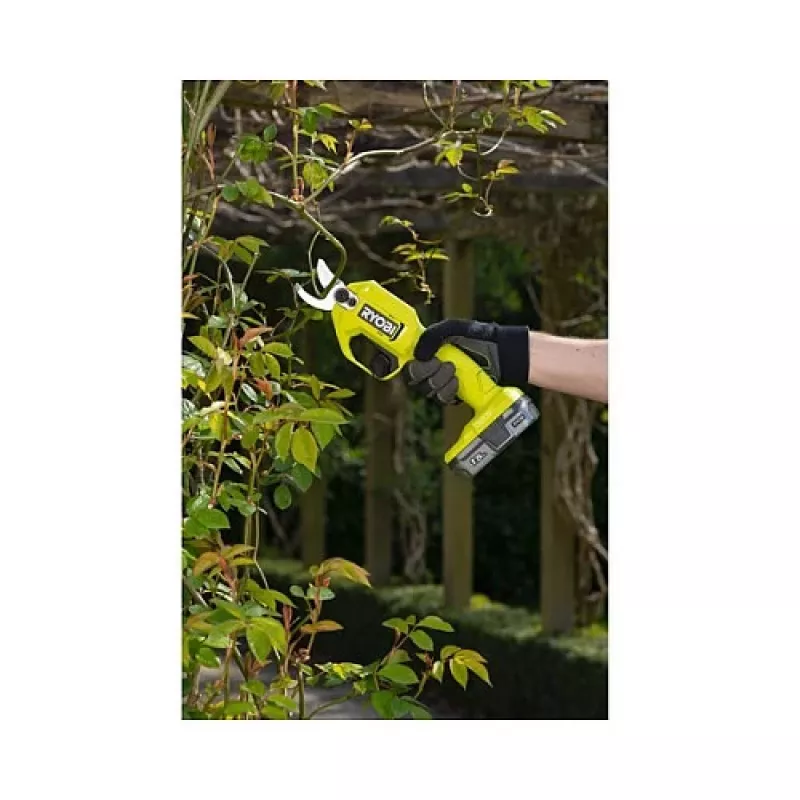 Ryobi Astschere