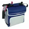 Kühlbox Campingaz Fold`N Cool 30 L Blau Grau