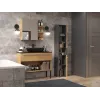 Topeshop NEL I ANT/ART Badezimmerschrank Graphit, Eiche