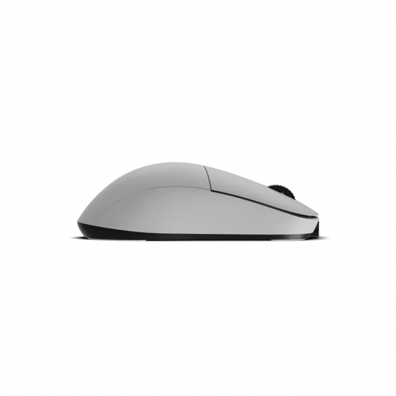 Maus Endgame Gear XM2w 4k Wireless